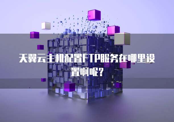 天翼云主机配置FTP服务在哪里设置啊呢？
