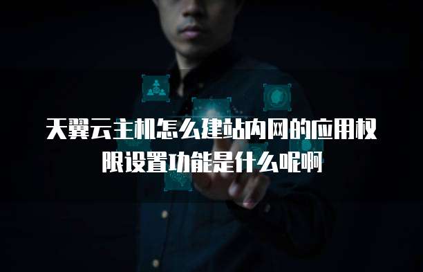 天翼云主机怎么建站内网的应用权限设置功能是什么呢啊