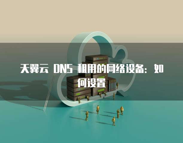 天翼云 DNS 租用的网络设备:如何设置