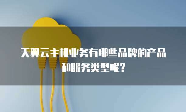 天翼云主机业务有哪些品牌的产品和服务类型呢？