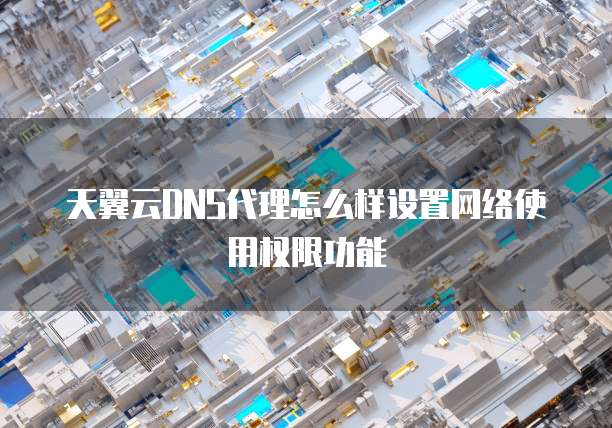 天翼云DNS代理怎么样设置网络使用权限功能