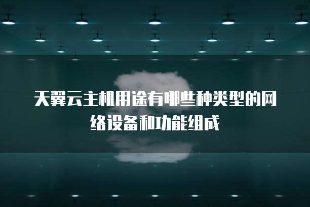 天翼云主机用途有哪些种类型的网络设备和功能组成