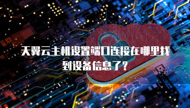 天翼云主机设置端口连接在哪里找到设备信息了?