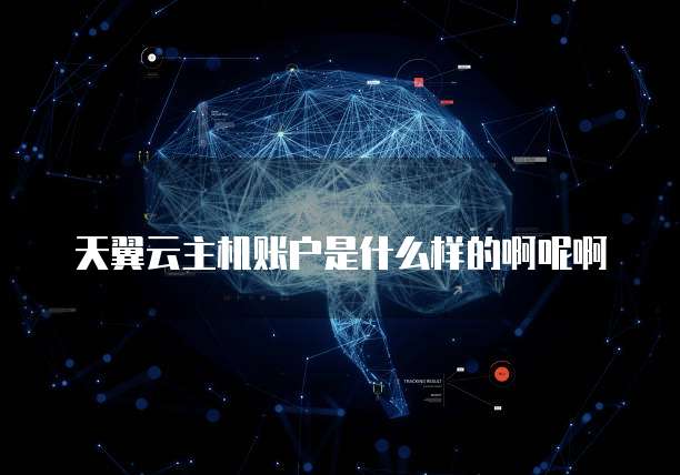 天翼云主机账户是什么样的啊呢啊