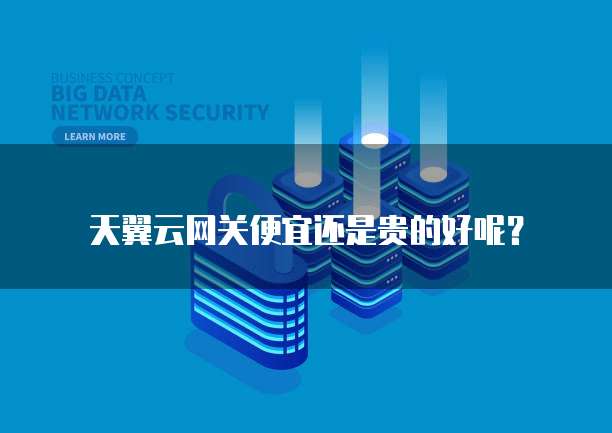 天翼云网关便宜还是贵的好呢?