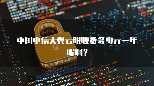 中国电信天翼云眼收费多少元一年呢啊?