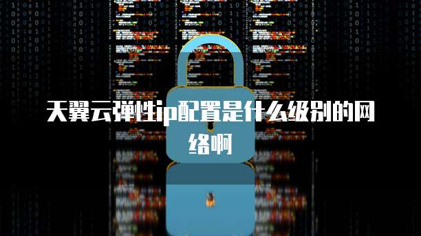 天翼云弹性ip配置是什么级别的网络啊