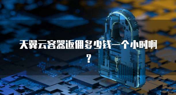 天翼云容器返佣多少钱一个小时啊?