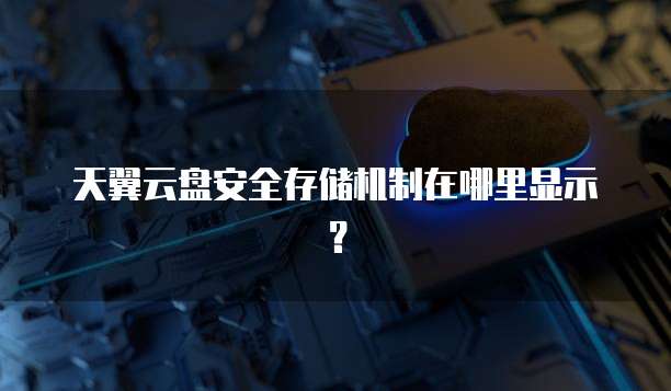 天翼云盘安全存储机制在哪里显示?