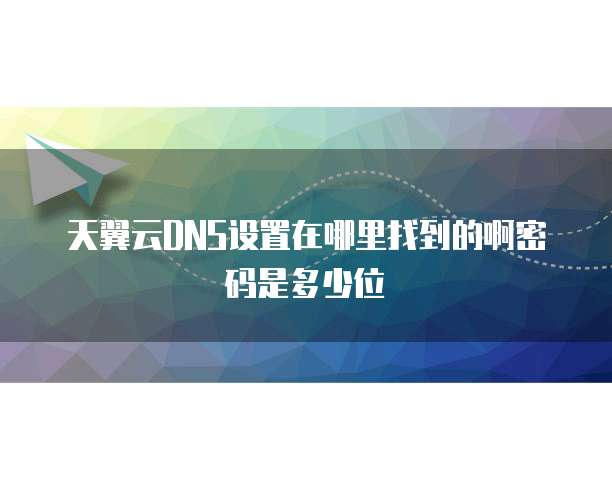 天翼云DNS设置在哪里找到的啊密码是多少位