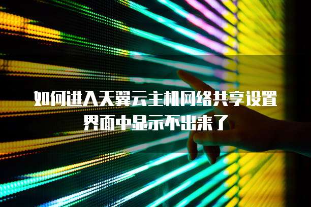如何进入天翼云主机网络共享设置界面中显示不出来了