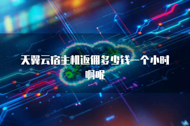 天翼云宿主机返佣多少钱一个小时啊呢