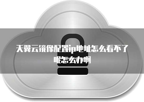 天翼云镜像配置ip地址怎么看不了呢怎么办啊