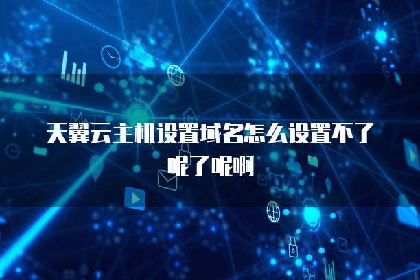 天翼云主机设置域名怎么设置不了呢了呢啊
