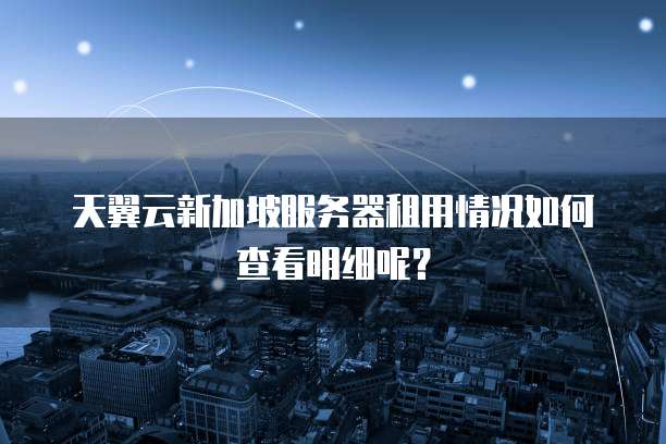 天翼云新加坡服务器租用情况如何查看明细呢?