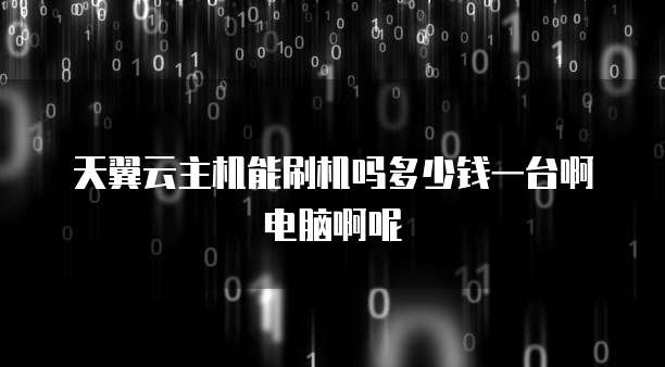 天翼云主机能刷机吗多少钱一台啊电脑啊呢