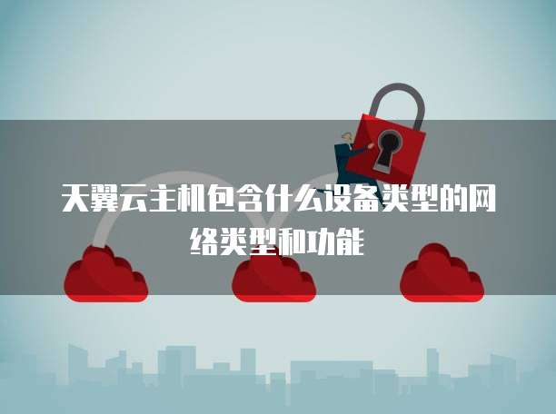 天翼云主机包含什么设备类型的网络类型和功能