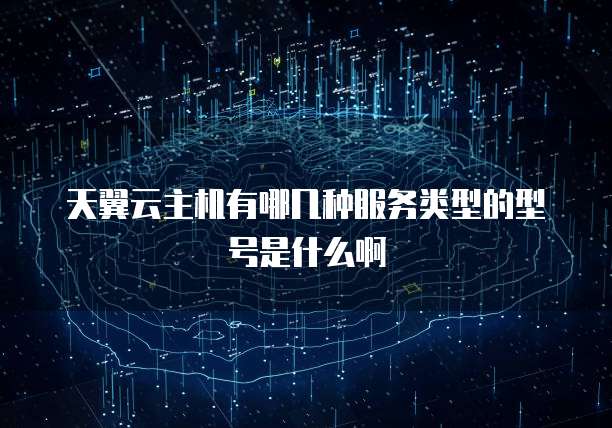天翼云主机有哪几种服务类型的型号是什么啊
