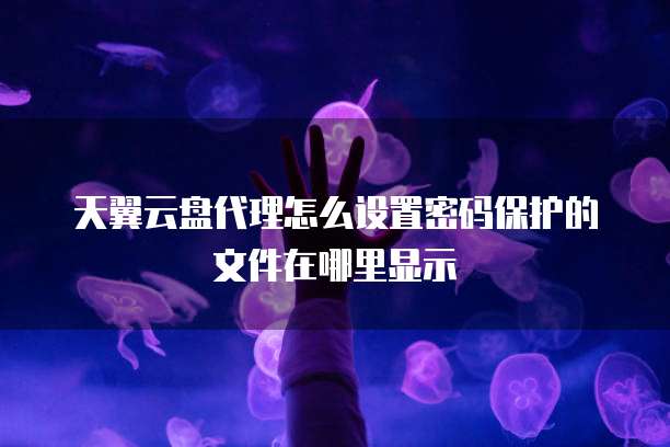 天翼云盘代理怎么设置密码保护的文件在哪里显示