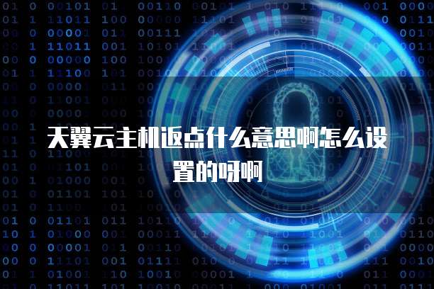 天翼云主机返点什么意思啊怎么设置的呀啊