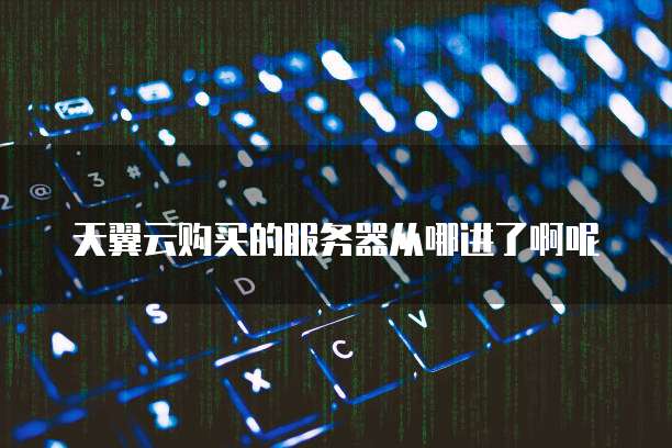 天翼云购买的服务器从哪进了啊呢