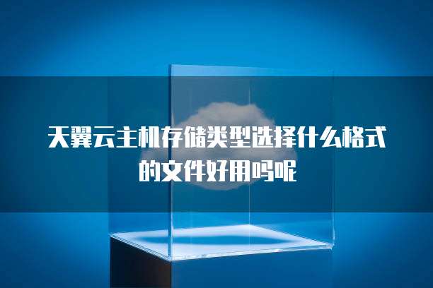 天翼云主机存储类型选择什么格式的文件好用吗呢