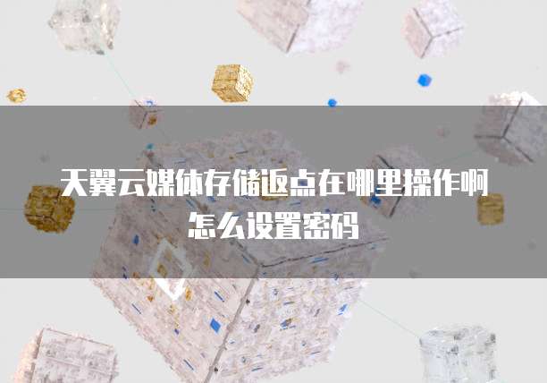 天翼云媒体存储返点在哪里操作啊怎么设置密码