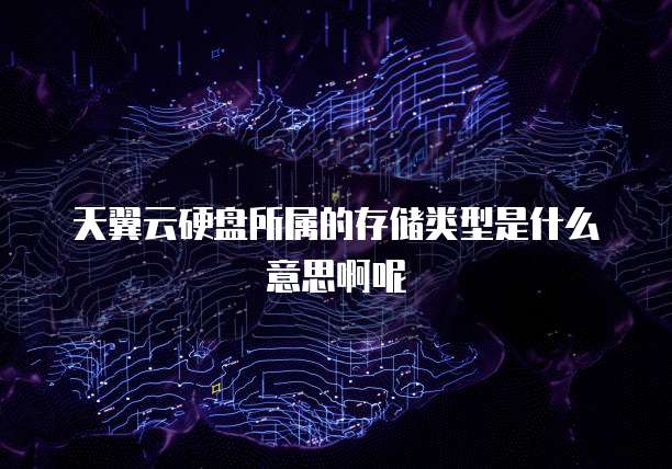 天翼云硬盘所属的存储类型是什么意思啊呢