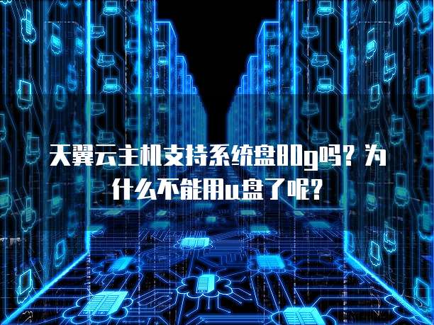 天翼云主机支持系统盘80g吗?为什么不能用u盘了呢?