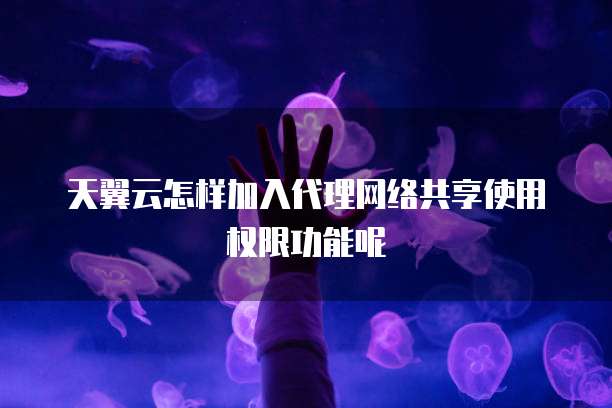 天翼云怎样加入代理网络共享使用权限功能呢