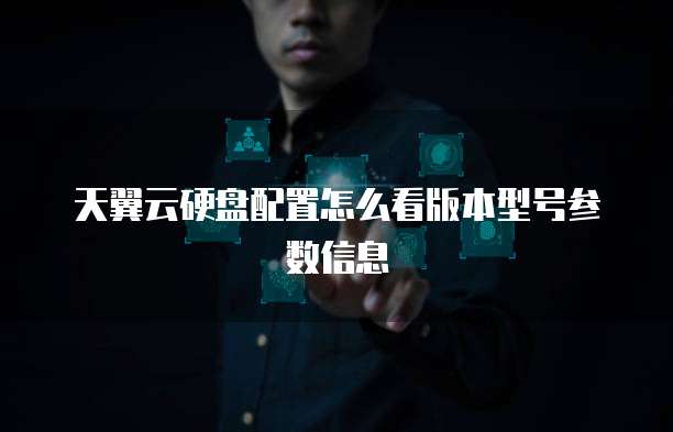 天翼云硬盘配置怎么看版本型号参数信息