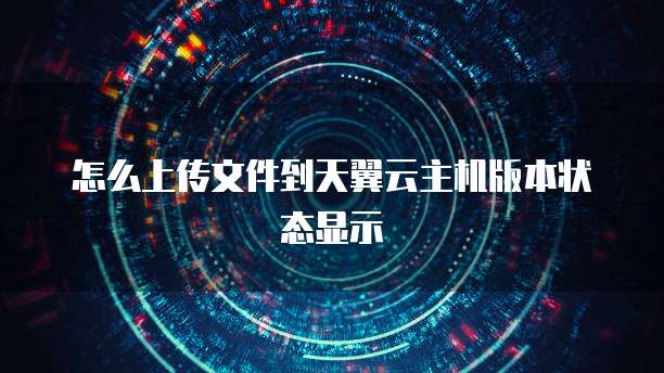 怎么上传文件到天翼云主机版本状态显示