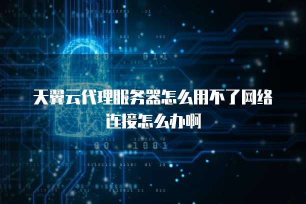 天翼云代理服务器怎么用不了网络连接怎么办啊