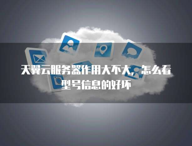 天翼云服务器作用大不大,怎么看型号信息的好坏