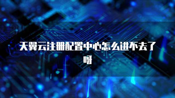 天翼云注册配置中心怎么进不去了呀