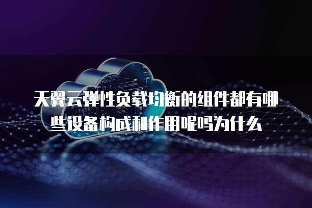 天翼云弹性负载均衡的组件都有哪些设备构成和作用呢吗为什么