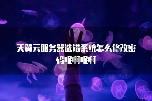 天翼云服务器选错系统怎么修改密码呢啊呢啊