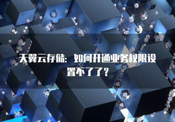 天翼云存储:如何开通业务权限设置不了了?