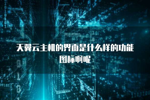 天翼云主机的界面是什么样的功能图标啊呢