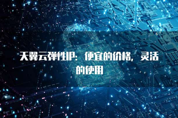 天翼云弹性IP:便宜的价格,灵活的使用