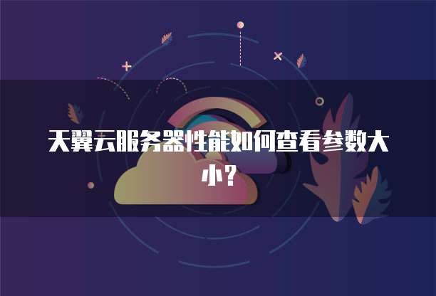天翼云服务器性能如何查看参数大小？