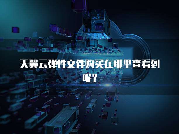 天翼云弹性文件购买在哪里查看到呢?