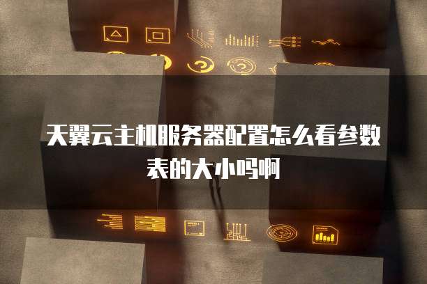 天翼云主机服务器配置怎么看参数表的大小吗啊