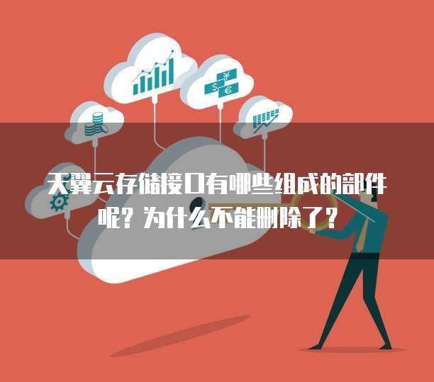 天翼云存储接口有哪些组成的部件呢?为什么不能删除了?