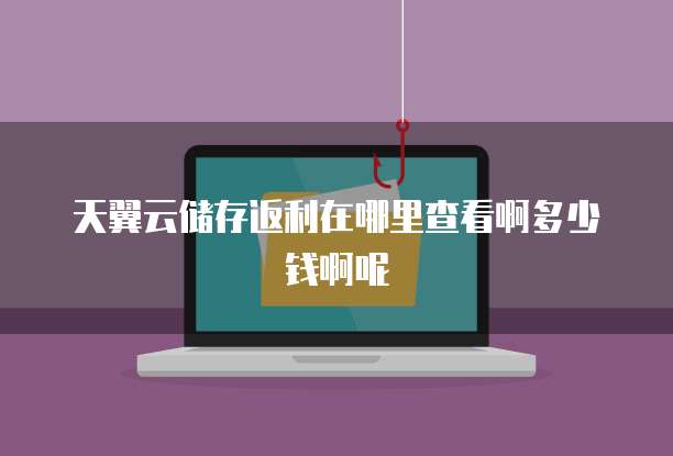 天翼云储存返利在哪里查看啊多少钱啊呢