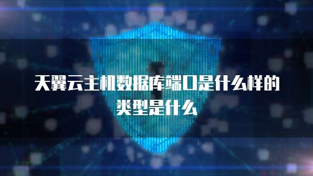 天翼云主机数据库端口是什么样的类型是什么