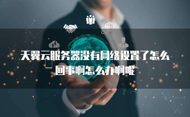天翼云服务器没有网络设置了怎么回事啊怎么办啊呢
