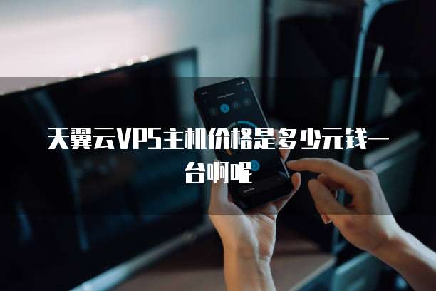 天翼云VPS主机价格是多少元钱一台啊呢