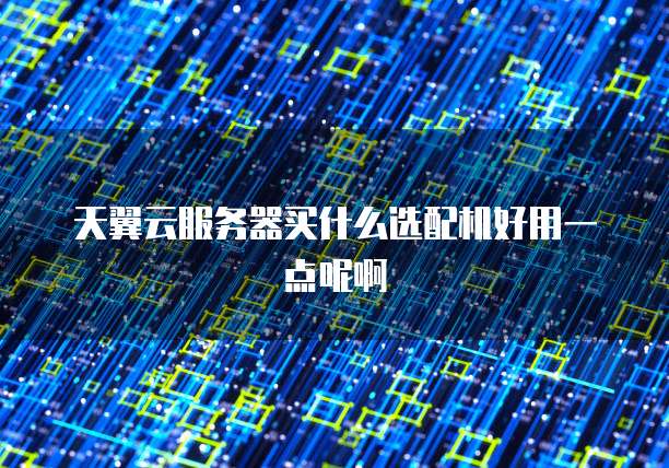 天翼云服务器买什么选配机好用一点呢啊