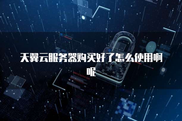 天翼云服务器购买好了怎么使用啊呢